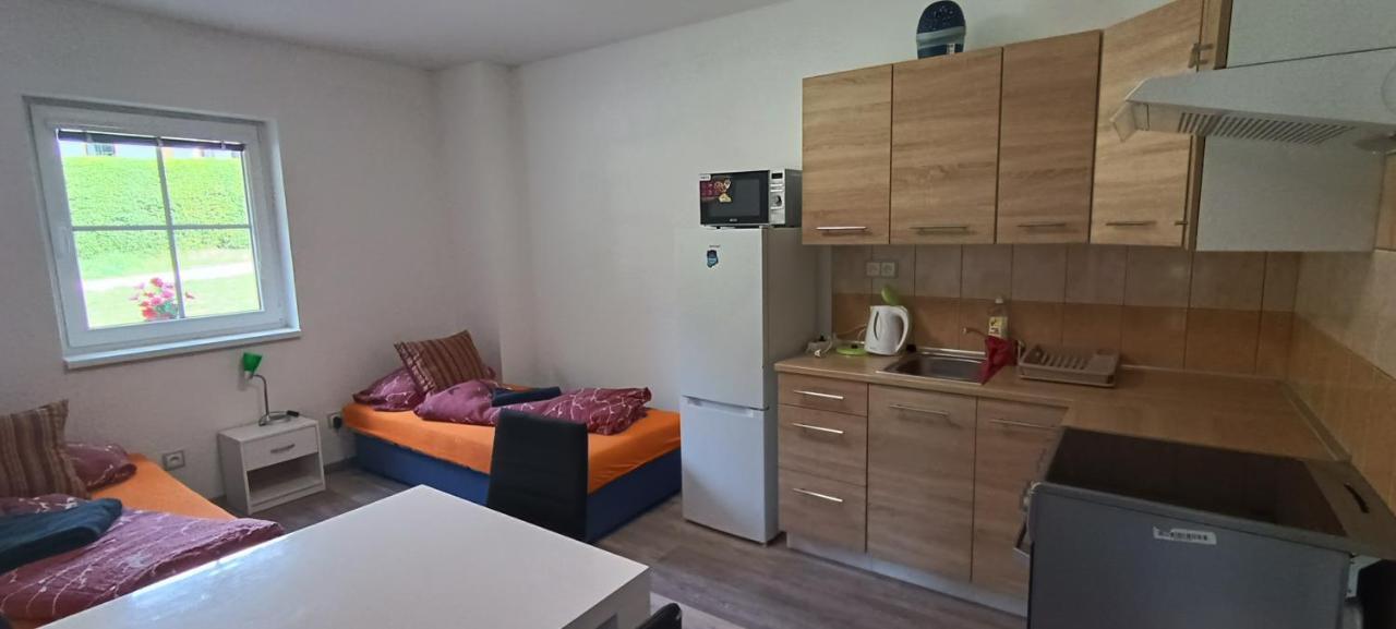 Apartmán u Lebedů Apartamento Strazny Exterior foto